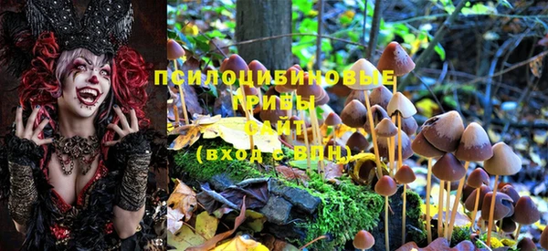 трава Белоозёрский