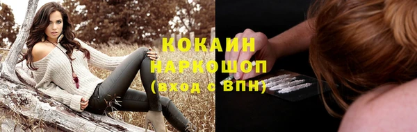СК Белокуриха