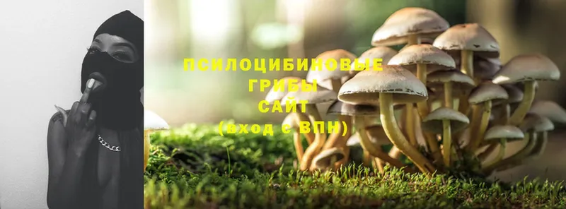 Псилоцибиновые грибы MAGIC MUSHROOMS Белореченск