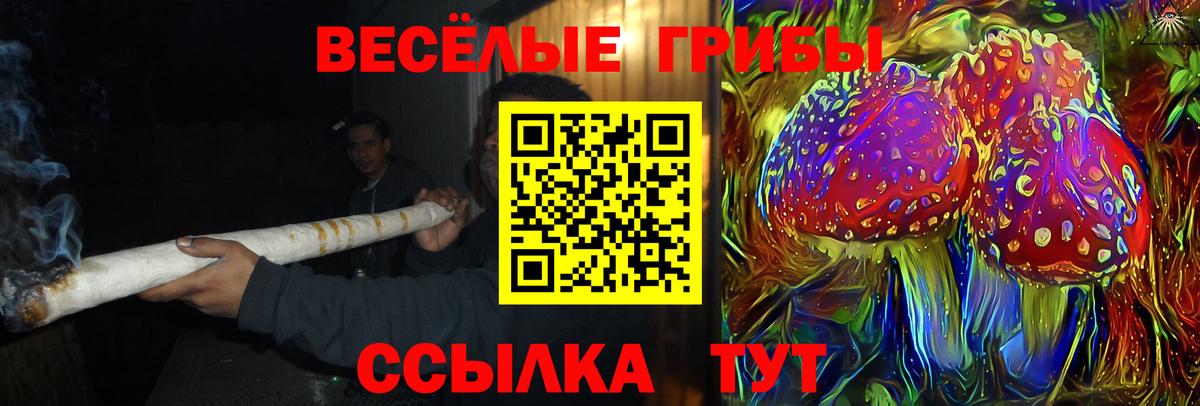 Псилоцибиновые грибы мухоморы  Вход с VPN  Белореченск  Псилоцибиновые грибы мухоморы 